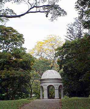 Kandy jardin botanique Sri Lanka