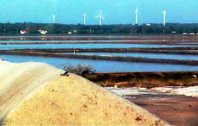 marais salants Hambantota Sri Lanka 