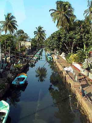  Negombo Sri lanka