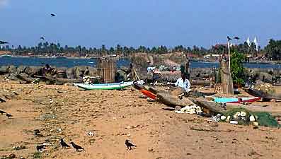 plage à Negombo Sri lanka