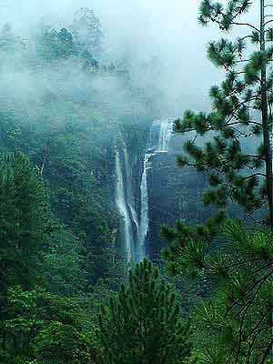 chute Nuwara Eliya Sri lanka 