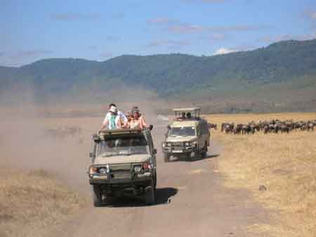  Cratère du Ngorongoro Tanzanie Safari 