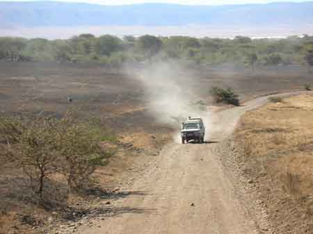  Cratère du Ngorongoro Tanzanie Safari 