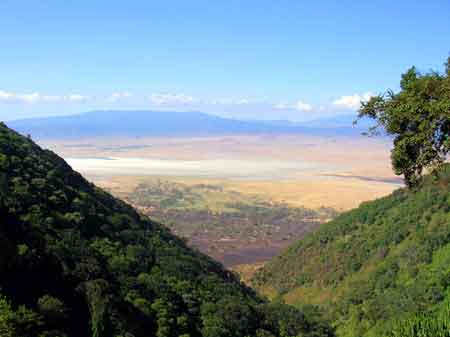  Cratère du Ngorongoro Tanzanie Safari 