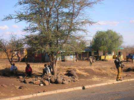 Arusha Tanzanie Safari 