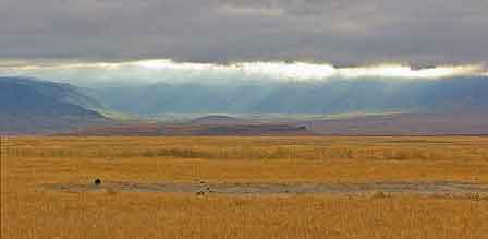  Cratère du Ngorongoro Tanzanie Safari 