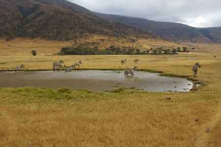  Cratère du Ngorongoro Tanzanie Safari 