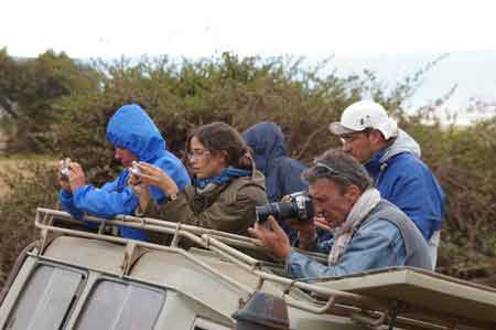  Cratère du Ngorongoro Tanzanie Safari 