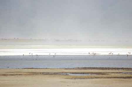  Cratère du Ngorongoro Tanzanie Safari 