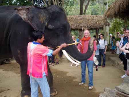 mae sa elephants Thailande