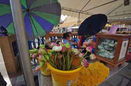 Thailande Wat Traymit - le bouddha en or  Bangkok 