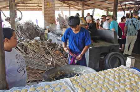 Thailande - Bangkok- ferme des orchid&eacute;es