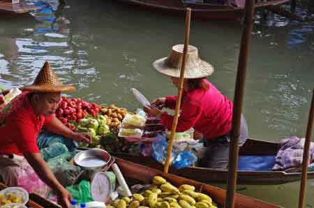 Thailande Damnoen Saduak : jardin flottant