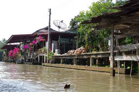 Thailande Damnoen Saduak : jardin flottant