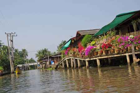 Thailande Damnoen Saduak : jardin flottant