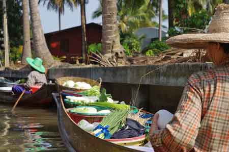 Thailande Damnoen Saduak : jardin flottant