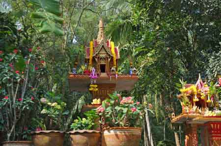 Thailande Damnoen Saduak : jardin flottant