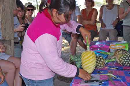 champ de culture de l'ananas Thailande