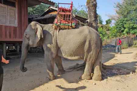 minorit&eacute; Akha en Thailande