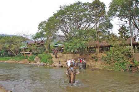 Thailande Mae Sa ballade a dos d'éléphant