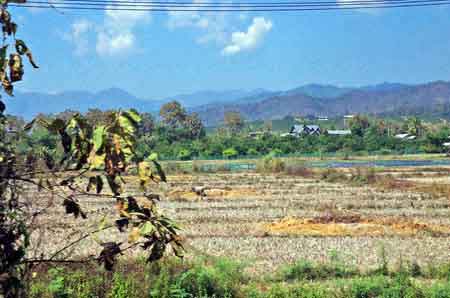 Tha&iuml;lande Thaton paysages march&eacute;