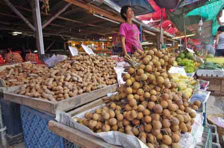 Thaïlande - Suphanburi 