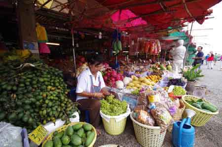 Thaïlande - Suphanburi 