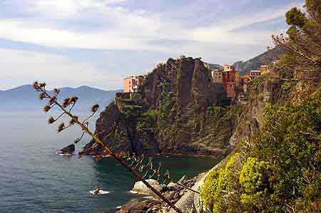 Manarola  Cinqueterre Ligurie   Italie