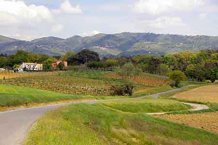  Vinci Toscane Italie