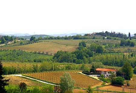  Vinci Toscane Italie