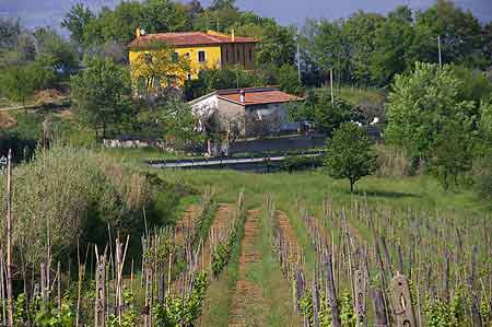  Vinci Toscane Italie