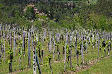 greve in Chianti - Toscane - Italie