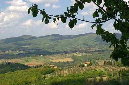 greve in Chianti - Toscane - Italie