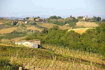 San Gimignano  Toscane Italie