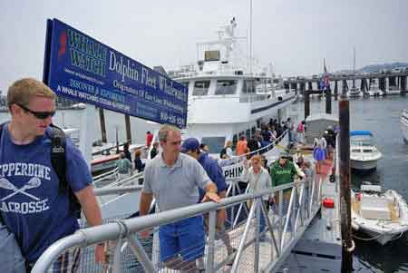 bateau cape cod