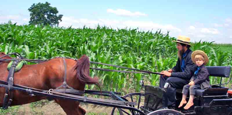 amish en buggy Pennsylvania comt de Lancaster