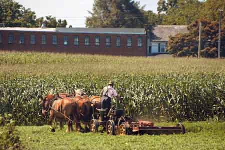 fermier amish Pennsylvania comt de Lancaster