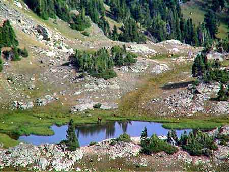 rocky mountain nat. park Colorado