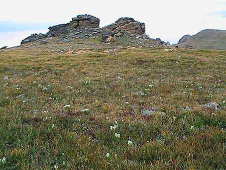 rocky mountain nat. park Colorado