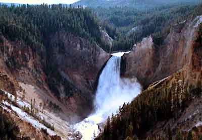 yellowstone park Wyoming