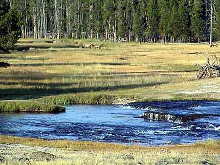 yellowstone park Wyoming