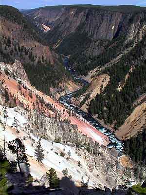 yellowstone park Wyoming