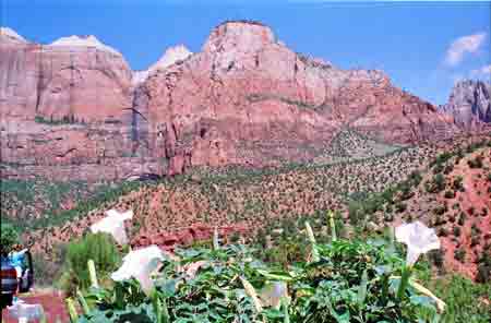 Zion park Utah