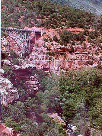 oak canyon Arizona