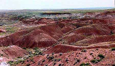 Painted desert Arizona 