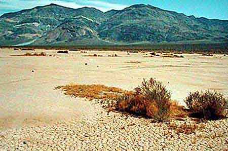  Death Valley Californie Vallee de la mort USA