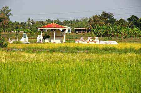  Tombes	traditionnelles dans un champ de riz Vietnam