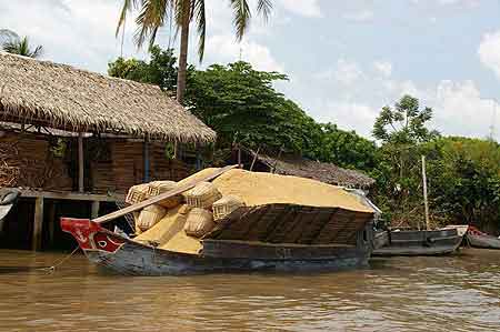 Barque très chargée de riz.Vietnam
