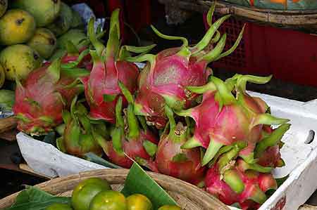 le fruit du dragon  Vietnam