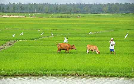  Qui Nhon  Vietnam